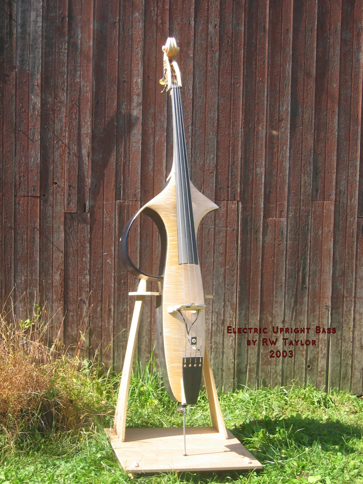 Electric Upright Bass 2003