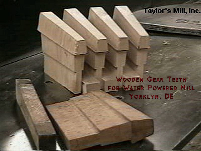 Wooden Gear Teeth. Stover's Mill, Doylestown, PA